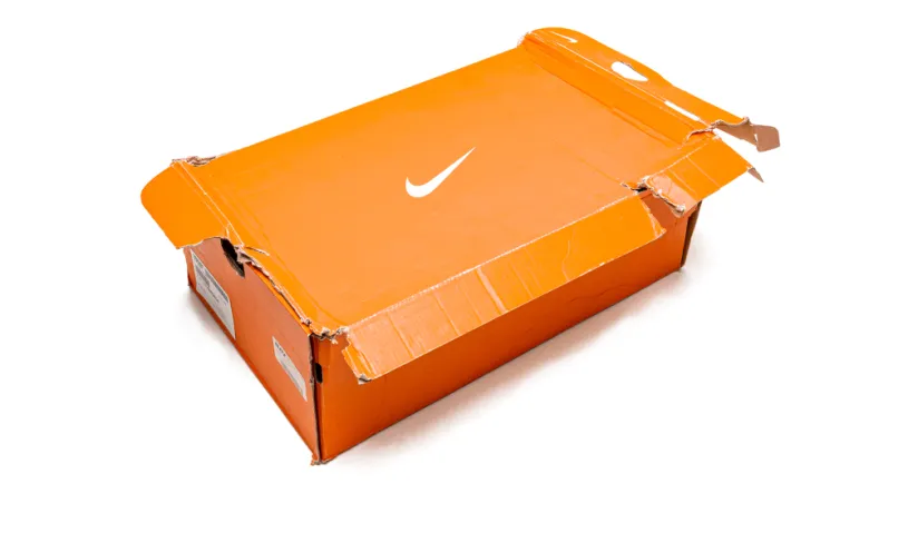 Nike Basketball Lebron 9 Low 'Arnold Palmer'